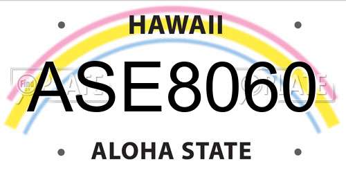 ASE8060 Hawaii License Plate