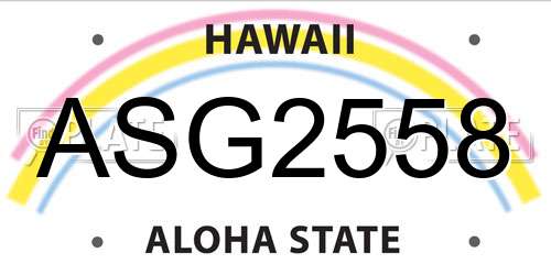 ASG2558 Hawaii License Plate