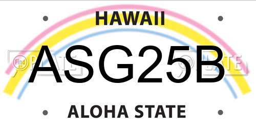 ASG25B Hawaii License Plate