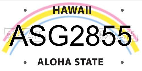 ASG2855 Hawaii License Plate