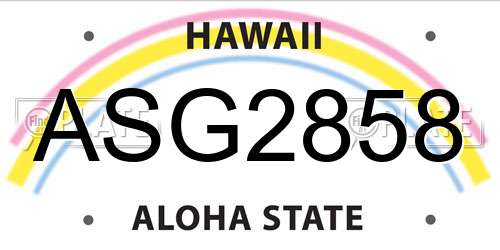 ASG2858 Hawaii License Plate
