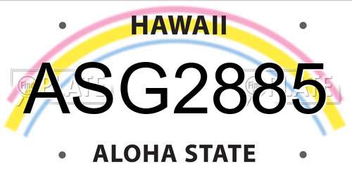 ASG2885 Hawaii License Plate