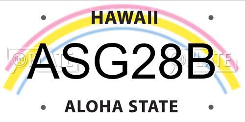 ASG28B Hawaii License Plate