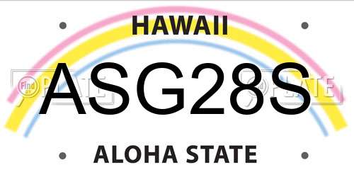ASG28S Hawaii License Plate
