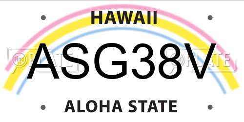 ASG38V Hawaii License Plate
