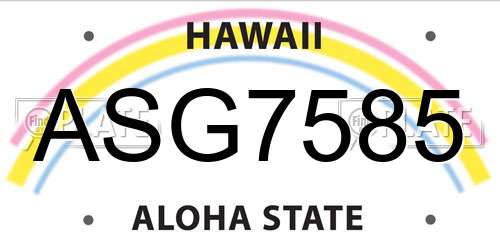 ASG7585 Hawaii License Plate