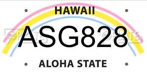 ASG828 Hawaii License Plate