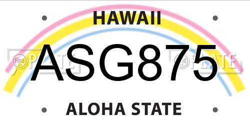 ASG875 Hawaii License Plate