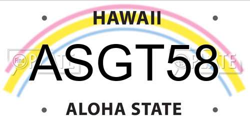 ASGT58 Hawaii License Plate