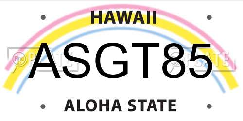 ASGT85 Hawaii License Plate
