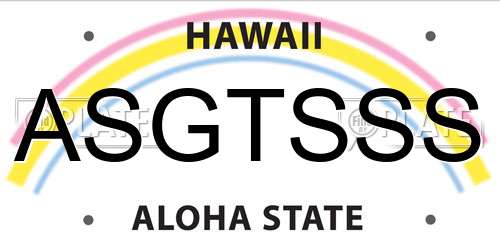 ASGTSSS Hawaii License Plate