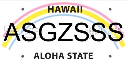 ASGZSSS Hawaii License Plate