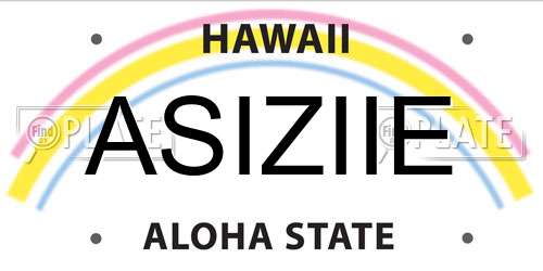 ASIZIIE Hawaii License Plate
