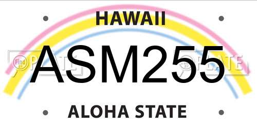 ASM255 Hawaii License Plate