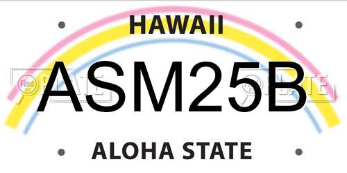 ASM25B Hawaii License Plate