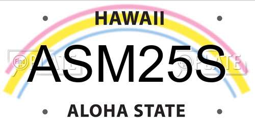 ASM25S Hawaii License Plate