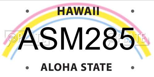 ASM285 Hawaii License Plate