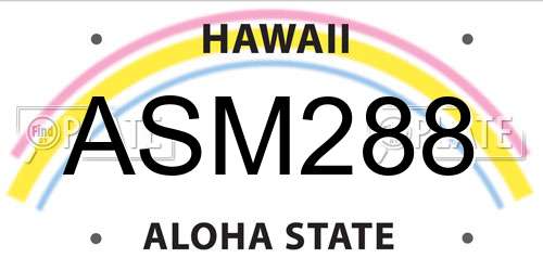 ASM288 Hawaii License Plate