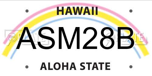 ASM28B Hawaii License Plate
