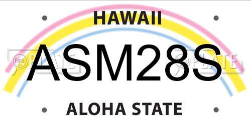 ASM28S Hawaii License Plate