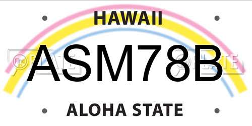 ASM78B Hawaii License Plate