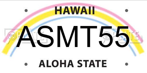 ASMT55 Hawaii License Plate