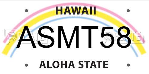 ASMT58 Hawaii License Plate