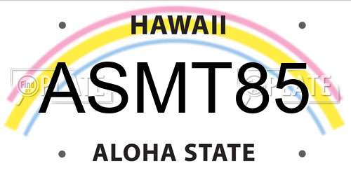ASMT85 Hawaii License Plate