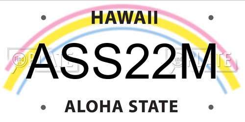 ASS22M Hawaii License Plate