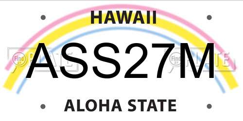 ASS27M Hawaii License Plate