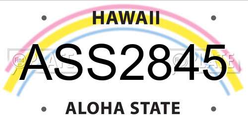ASS2845 Hawaii License Plate