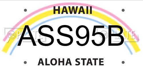 ASS95B Hawaii License Plate