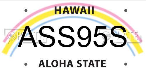 ASS95S Hawaii License Plate