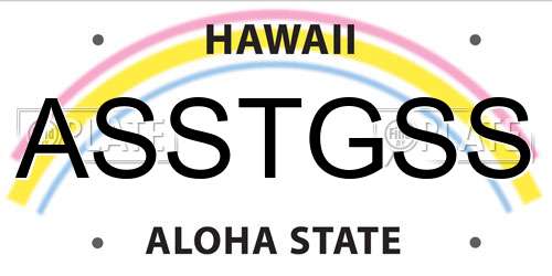 ASSTGSS Hawaii License Plate