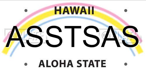 ASSTSAS Hawaii License Plate