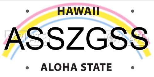 ASSZGSS Hawaii License Plate