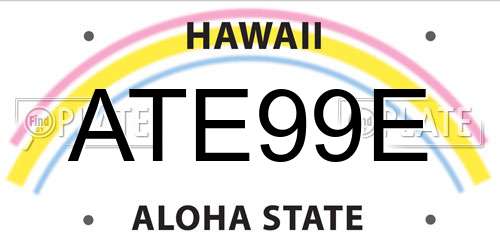 ATE99E Hawaii License Plate