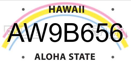 AW9B656 Hawaii License Plate