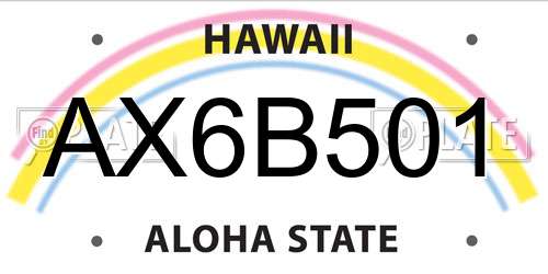 AX6B501 Hawaii License Plate