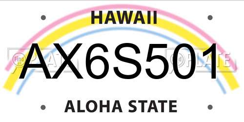AX6S501 Hawaii License Plate