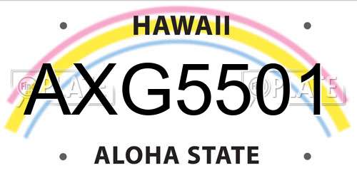 AXG5501 Hawaii License Plate