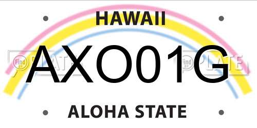 AXO01G Hawaii License Plate