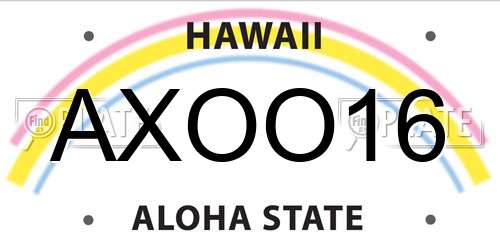 AXOO16 Hawaii License Plate