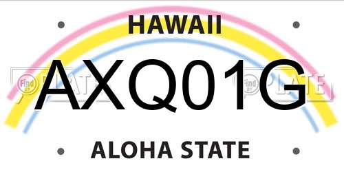 AXQ01G Hawaii License Plate