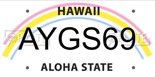 AYGS69 Hawaii License Plate