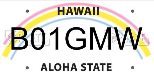 B01GMW Hawaii License Plate