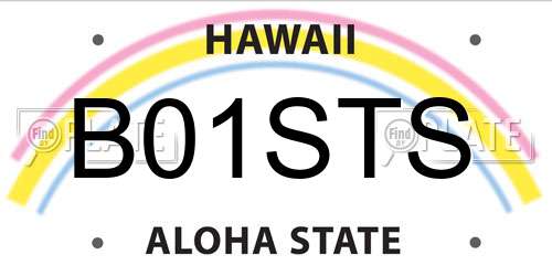 B01STS Hawaii License Plate