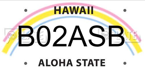 B02ASB Hawaii License Plate