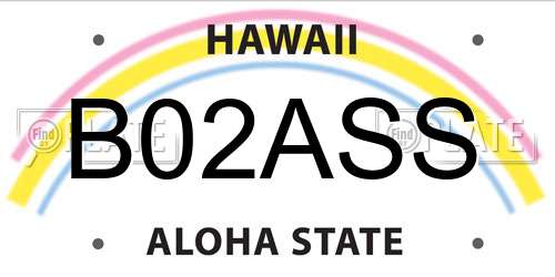 B02ASS Hawaii License Plate