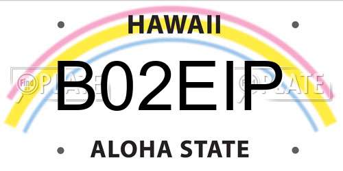 B02EIP Hawaii License Plate